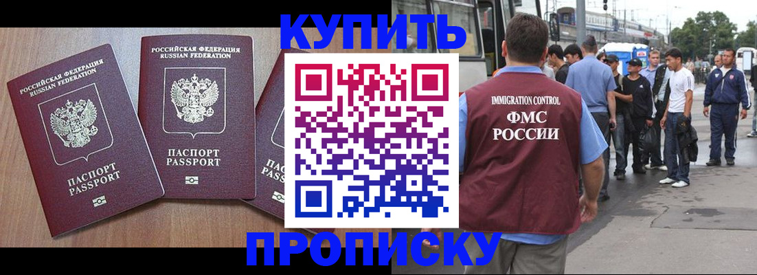 прописка 2025 в Кашине
